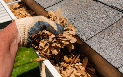 Gutter Clean Out - Free Estimate