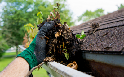 Gutter Cleaning - Free Estimates