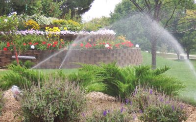Lawn Irrigation System & Repair