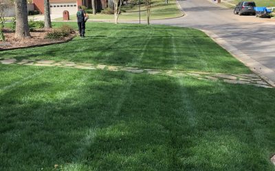 Lawn Care - Mitchell's Landscaping